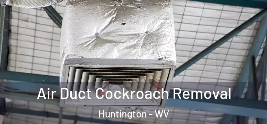 Air Duct Cockroach Removal Huntington - WV