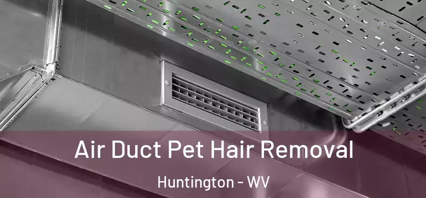  Air Duct Pet Hair Removal Huntington - WV