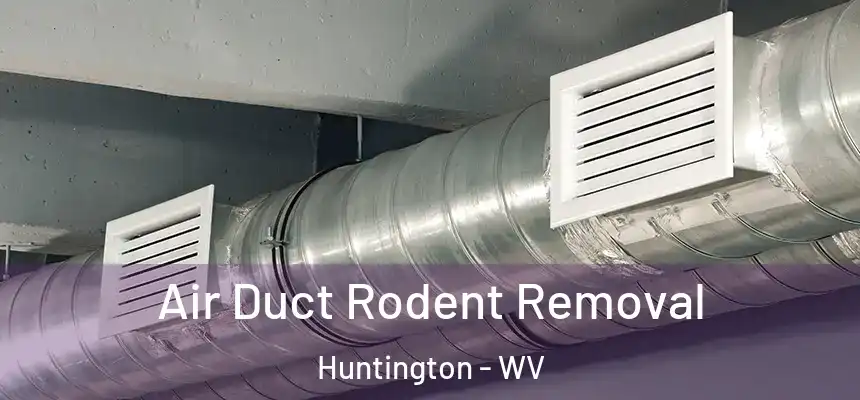  Air Duct Rodent Removal Huntington - WV