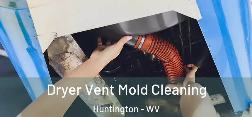 Dryer Vent Mold Cleaning Huntington - WV