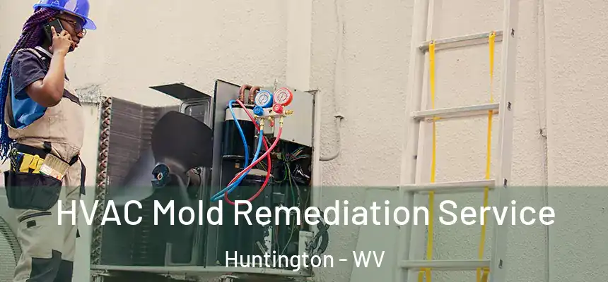  HVAC Mold Remediation Service Huntington - WV