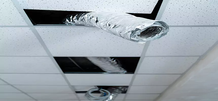 Affordable HVAC Sanitizing After Pest Removal in Huntington