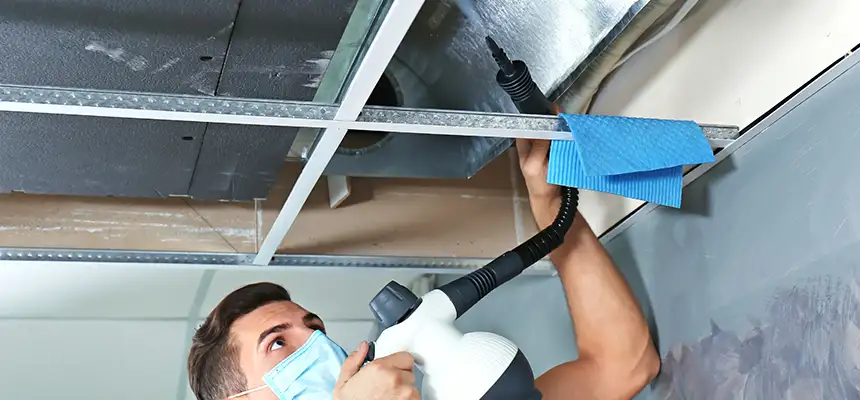 Our Air Duct Rodent Removal Services in Huntington, WV