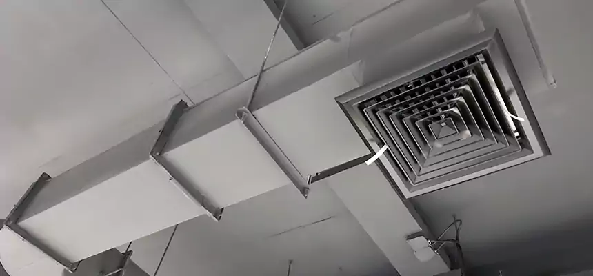 Our Pest Removal From Ducts Services in Huntington, WV