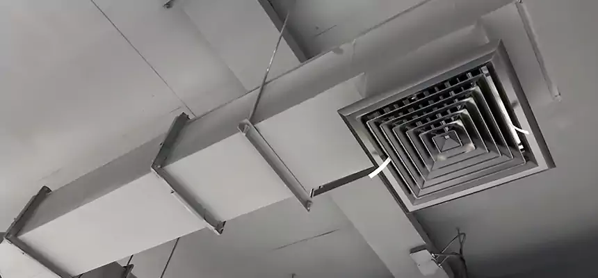 Our Rodent Droppings In Vents Services in Huntington, WV