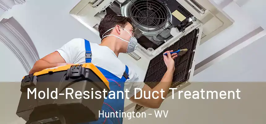  Mold-Resistant Duct Treatment Huntington - WV