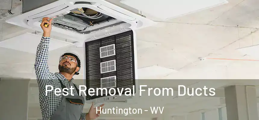 Pest Removal From Ducts Huntington - WV
