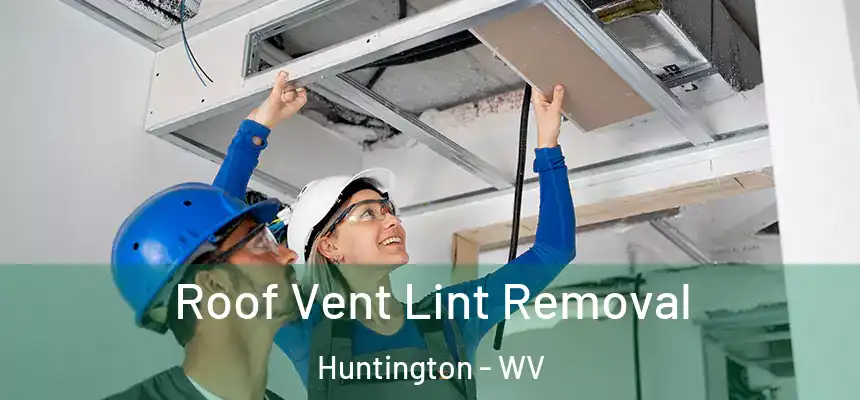  Roof Vent Lint Removal Huntington - WV