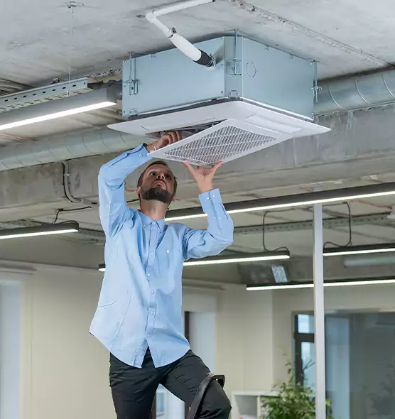 Advanced Rodent Droppings In Vents in Huntington, WV